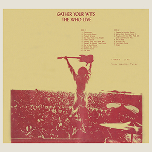 The Who - Gather Your Wits - LP
